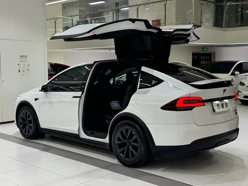 Tesla Model X — миниатюра 4
