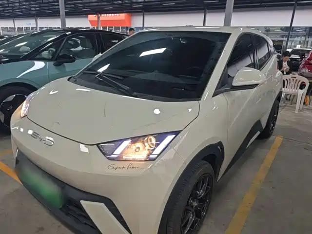 BYD Seagull