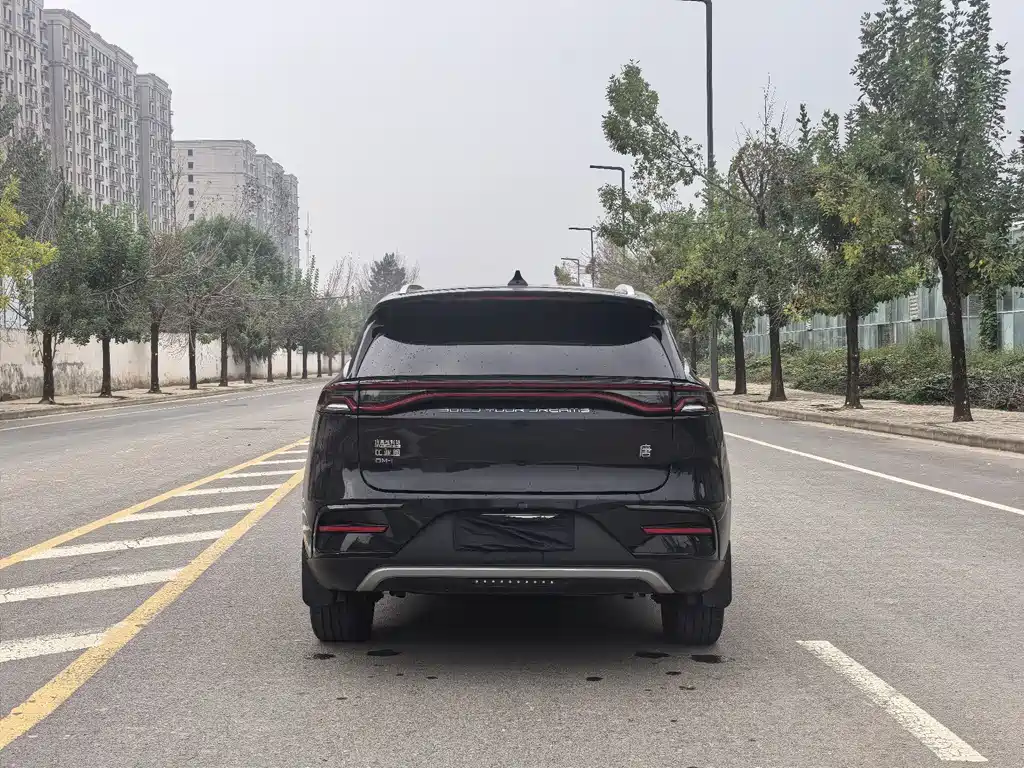 BYD Tang New Energy — миниатюра 5