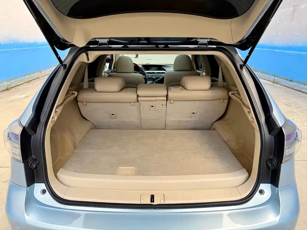 Lexus RX Classic — миниатюра 13