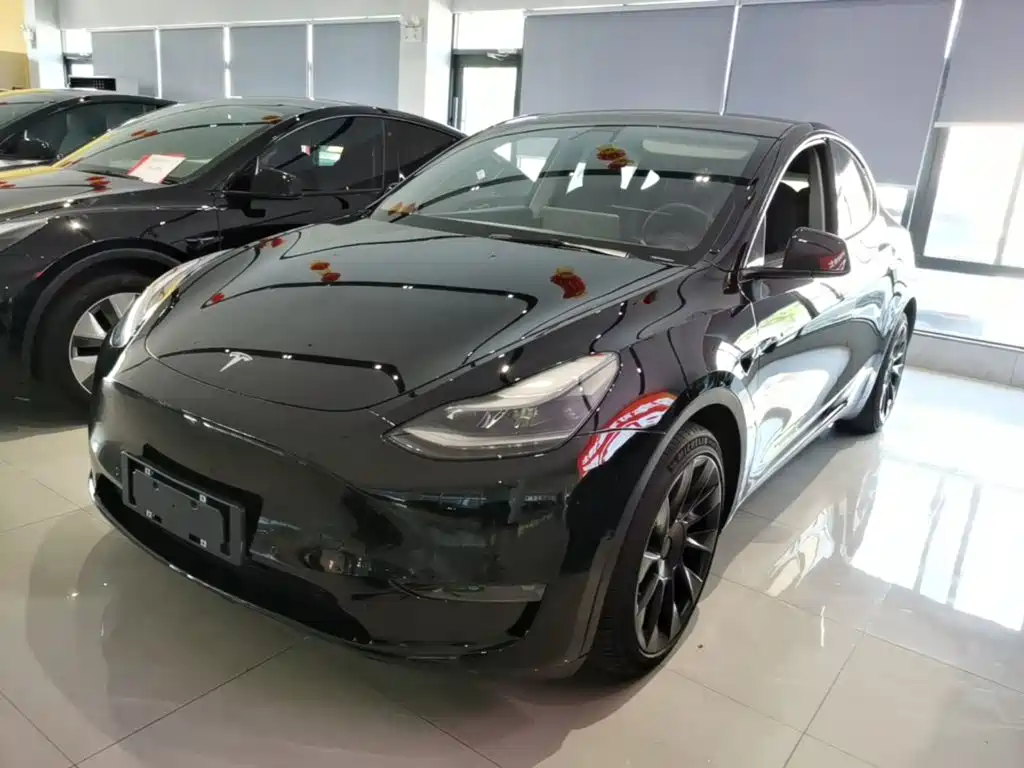 Tesla Model Y — миниатюра 2