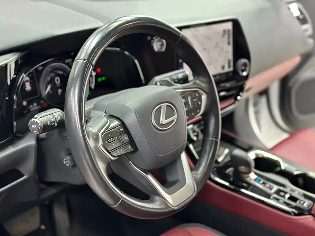Lexus NX New Energy — миниатюра 10