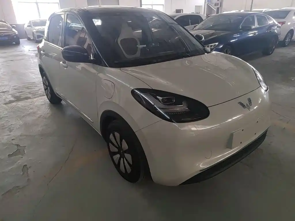 Wuling Binguo 2023 333km Enjoy +