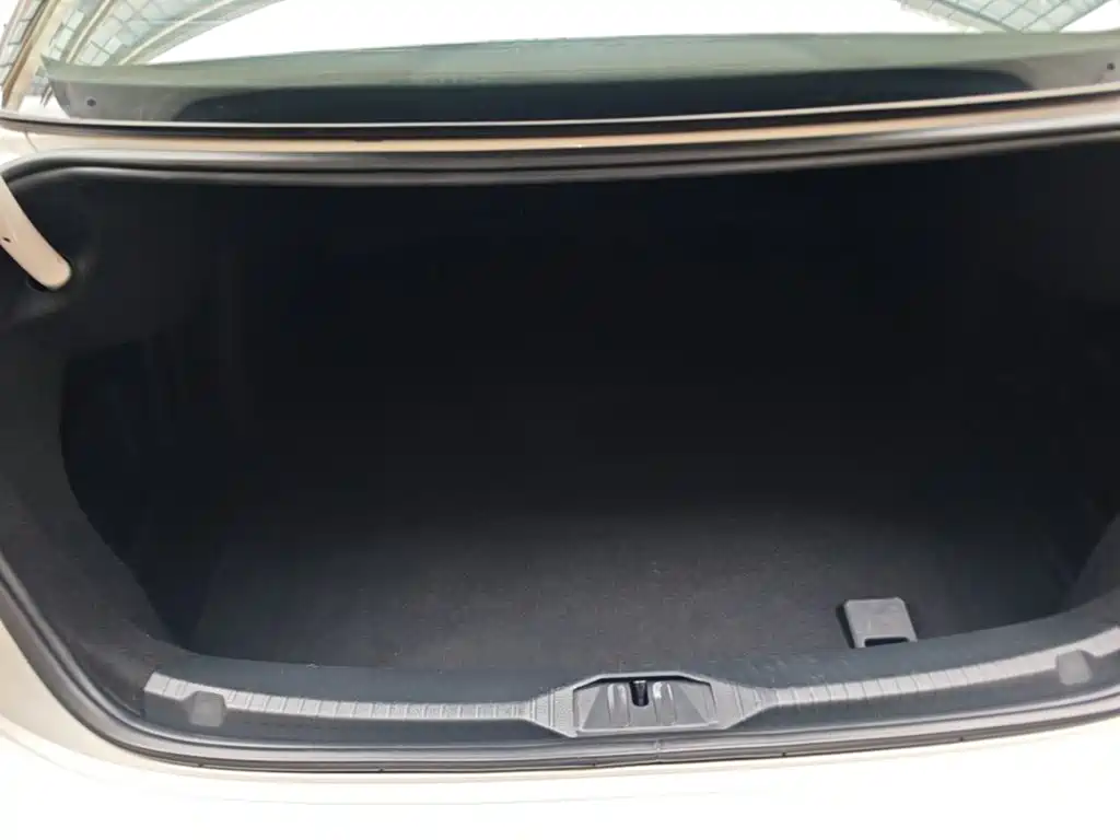 Volkswagen Lamando — миниатюра 19