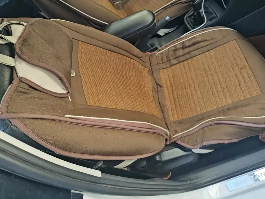 Volkswagen Santana — миниатюра 8