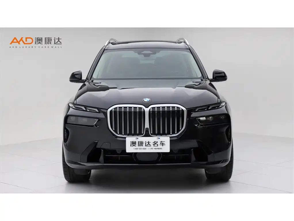 BMW X7 — миниатюра 2