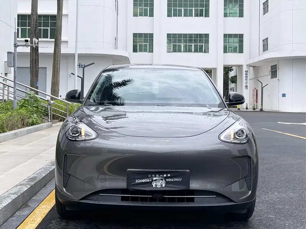 Geely Geome Xingyuan 2025 310km