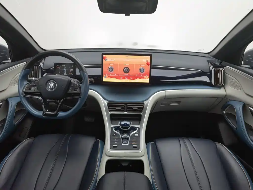 BYD Pro — миниатюра 5