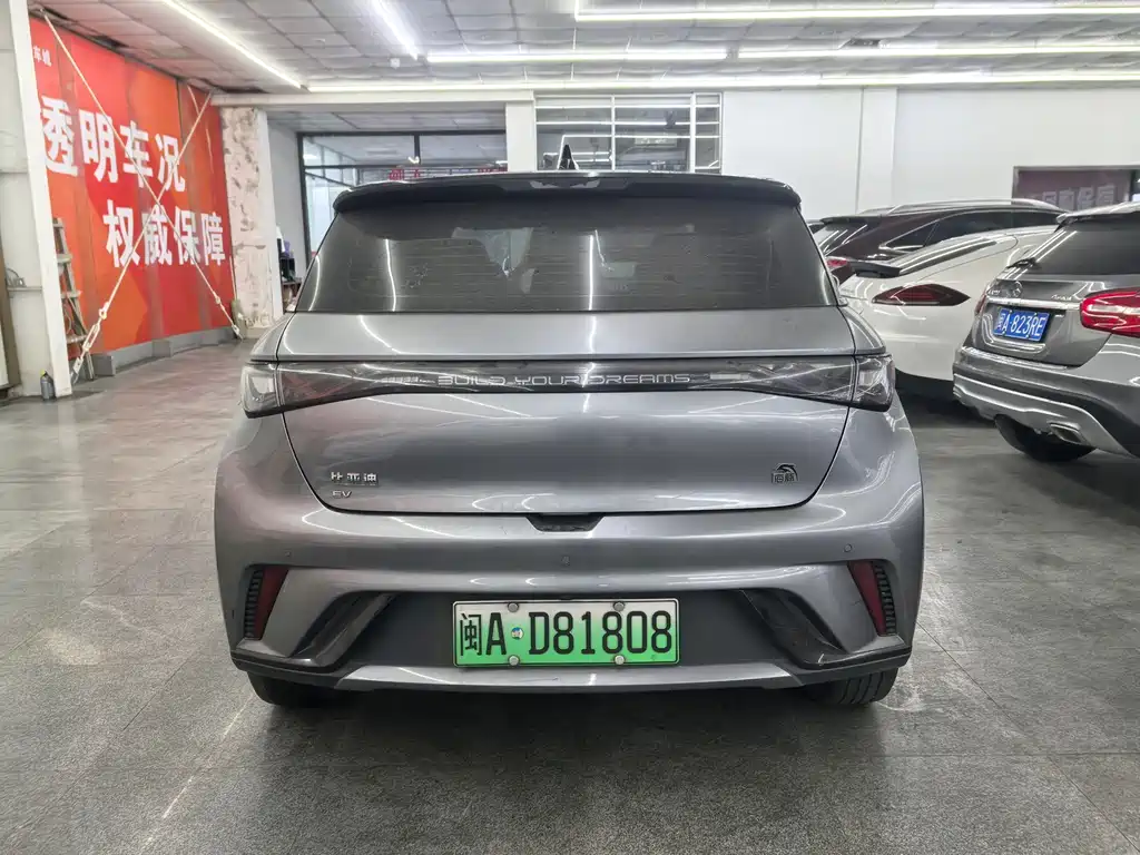 BYD DOLPHIN