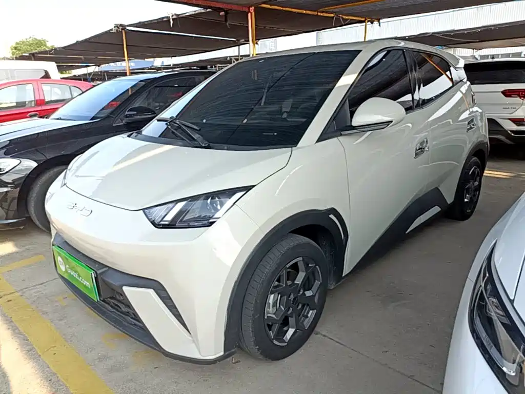 BYD Seagull