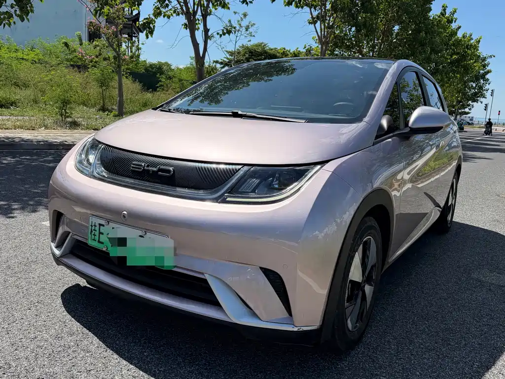 BYD Dolphin
