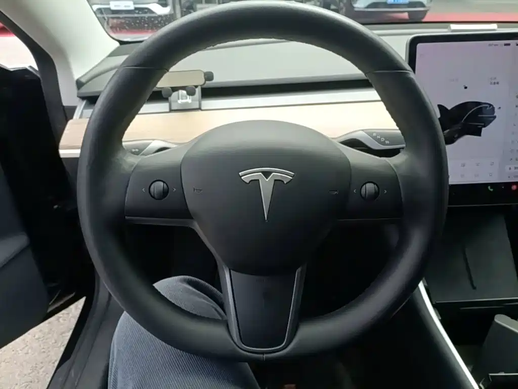 Tesla Model 3 — миниатюра 11