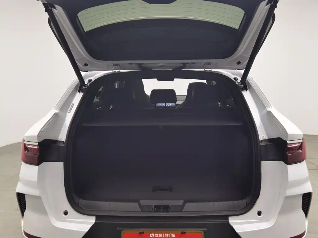 BYD PLUS — миниатюра 16
