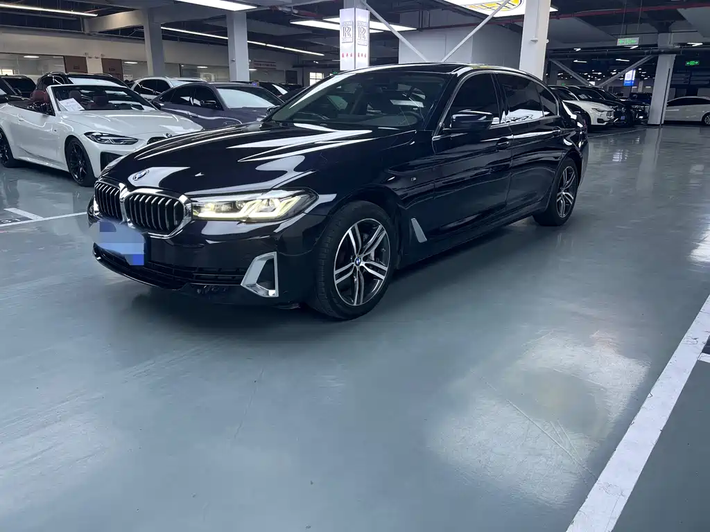 BMW 5 Series 2021