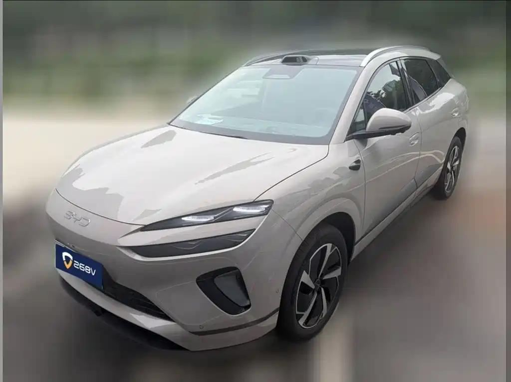 BYD 06