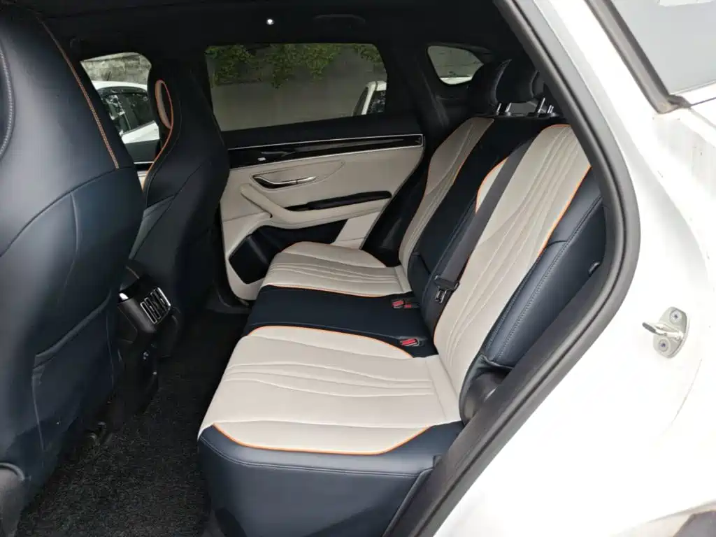 BYD PLUS New Energy — миниатюра 24