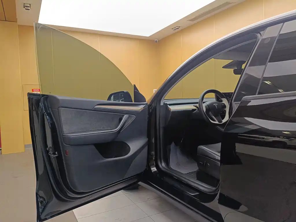 Tesla Model Y — миниатюра 4