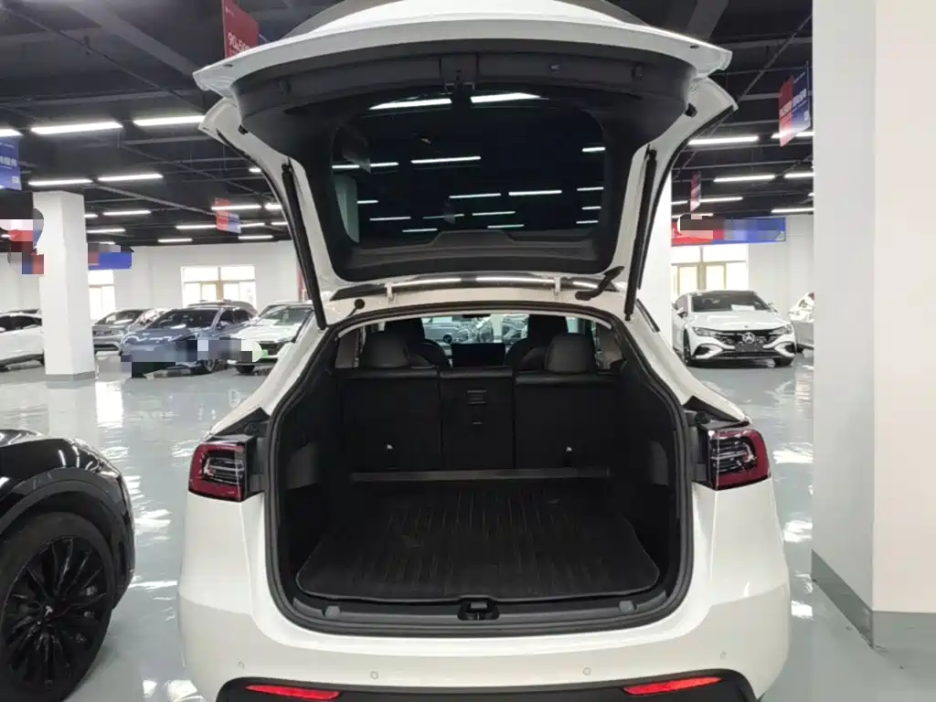 Tesla Model Y — миниатюра 19
