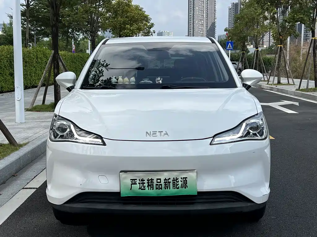 Neta Neta V — миниатюра 2