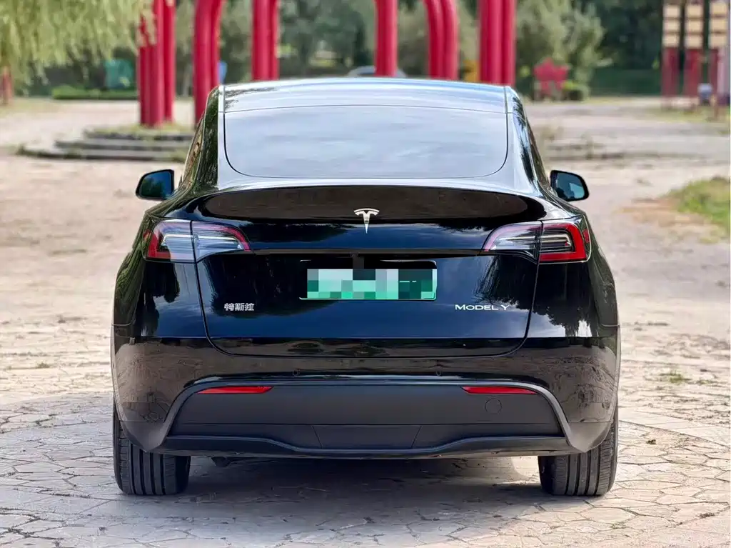 Tesla Model Y — миниатюра 18