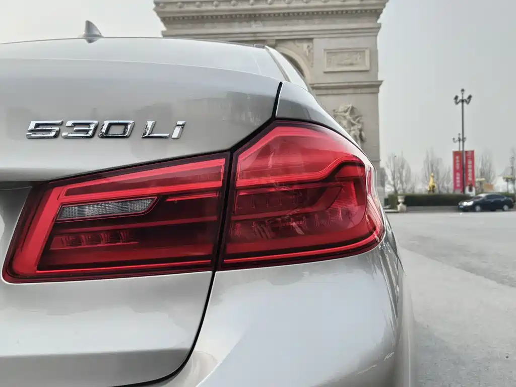 BMW 5 Series 5 2019 530Li Premium Luxury
