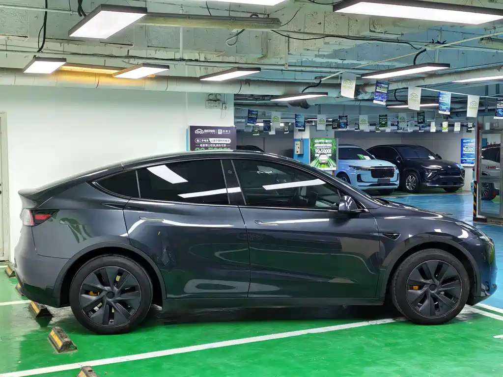 Tesla Model Y — миниатюра 6