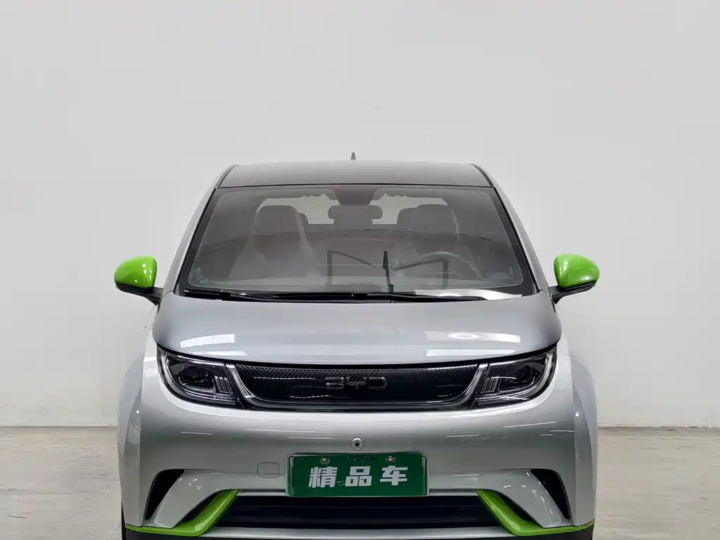 BYD Dolphin — миниатюра 2