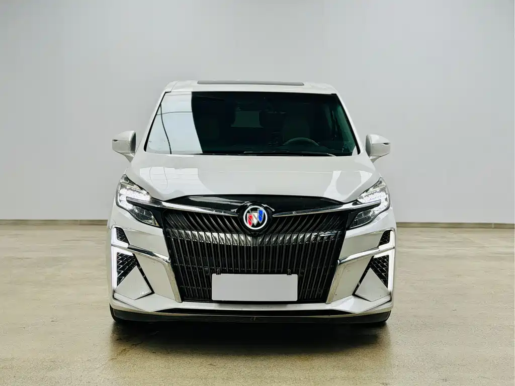 Buick GL8 — миниатюра 2