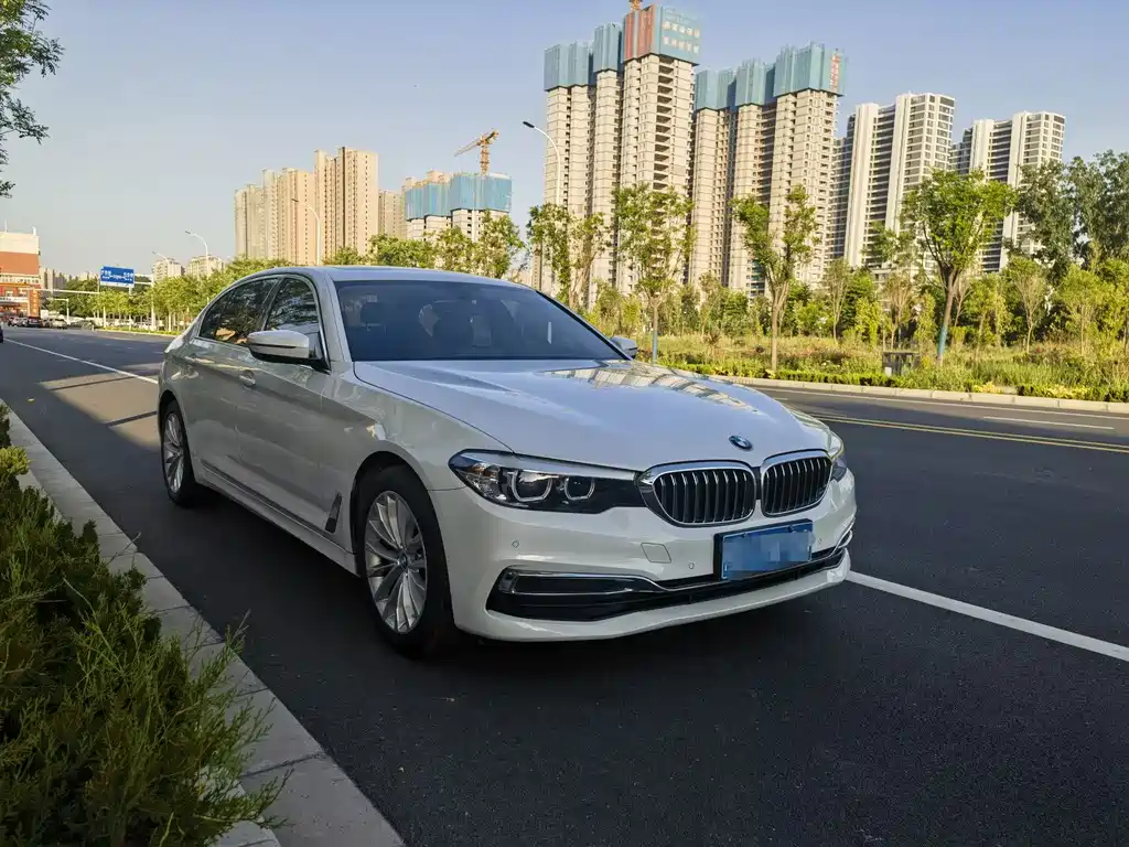 BMW 5 Series 5 2020 525Li Luxury