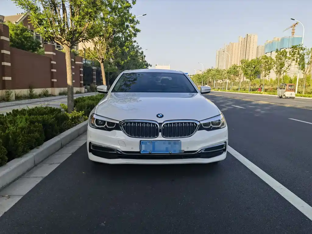 BMW 5 Series 5 2020 525Li Luxury