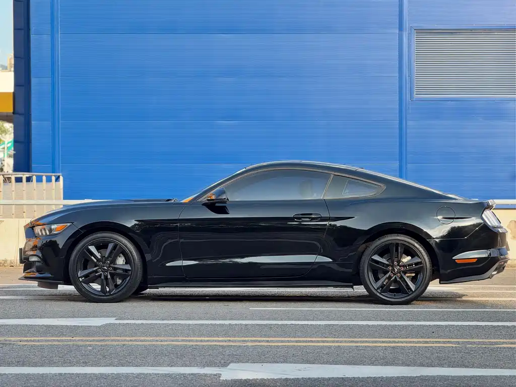 Ford Mustang — миниатюра 3