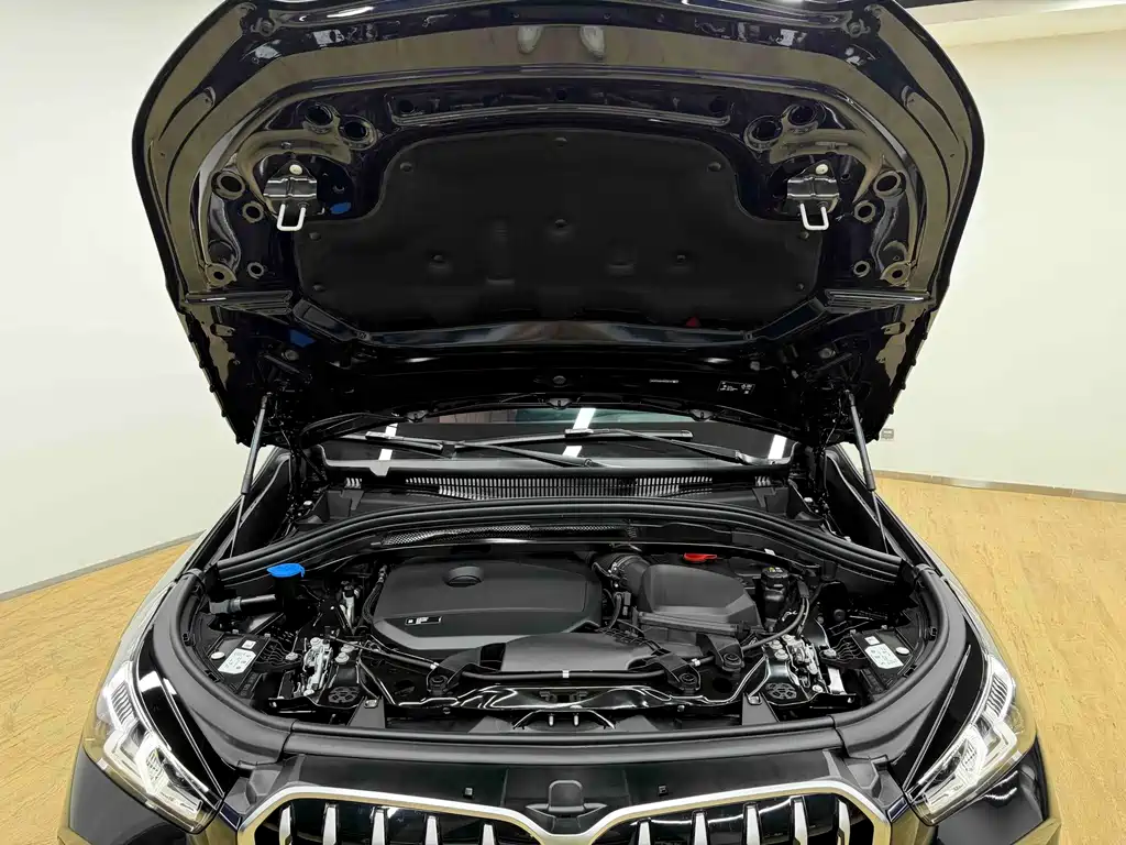 BMW X1 — миниатюра 6