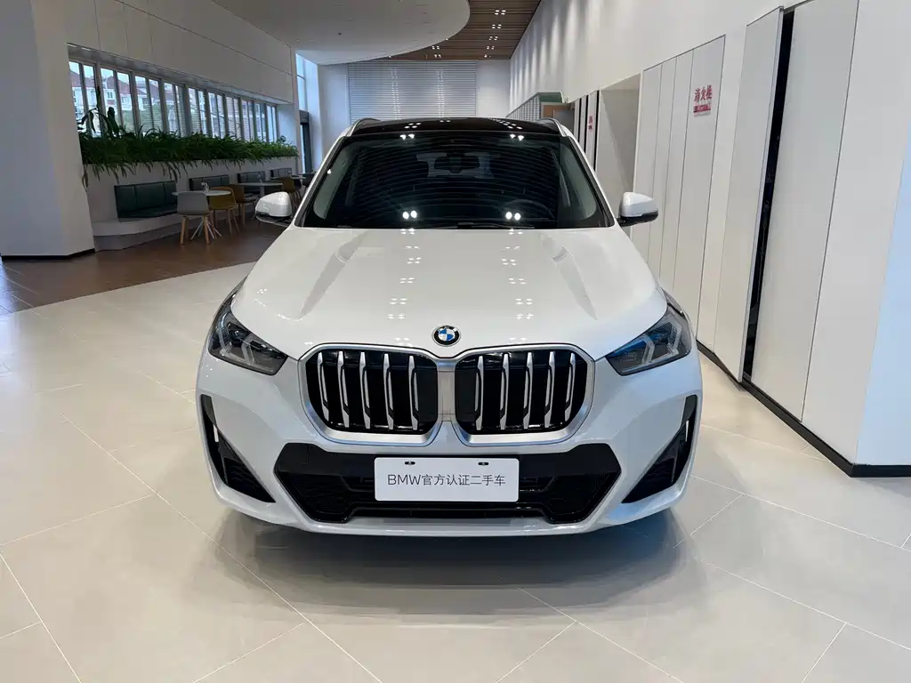 BMW X1 — миниатюра 2