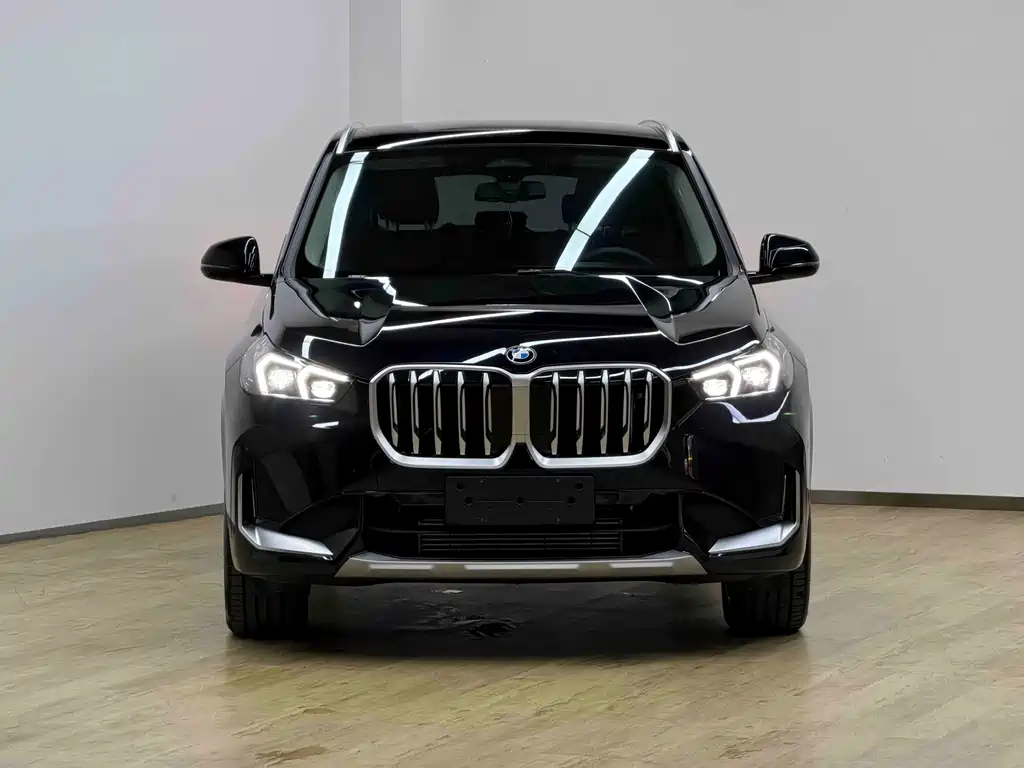 BMW X1 — миниатюра 2