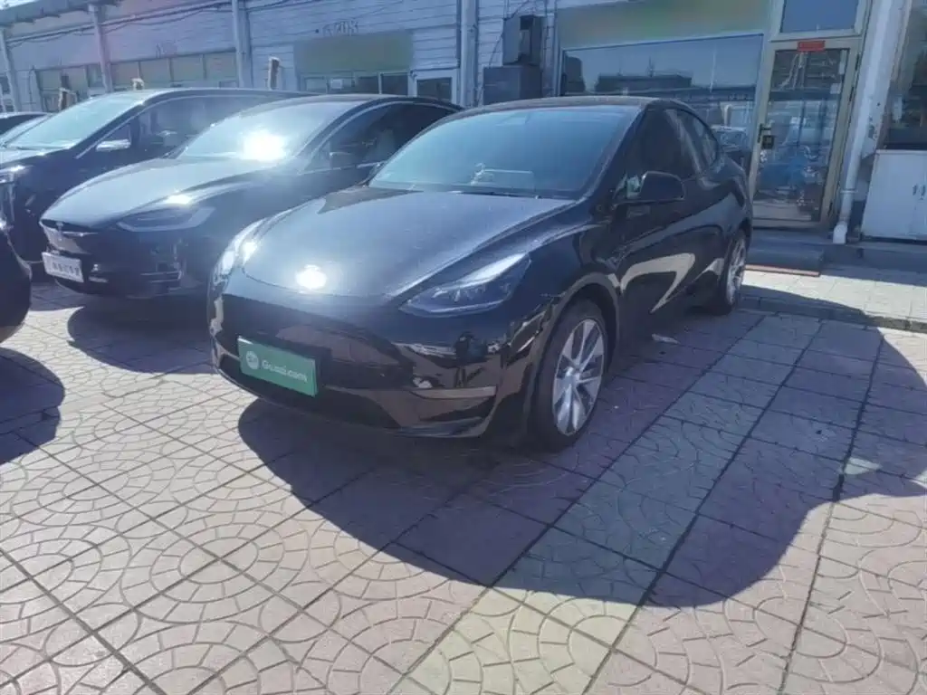 Tesla Model Y 2021