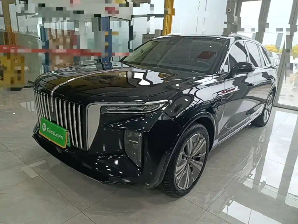 Hongqi Hongqi E-HS9 — миниатюра 2