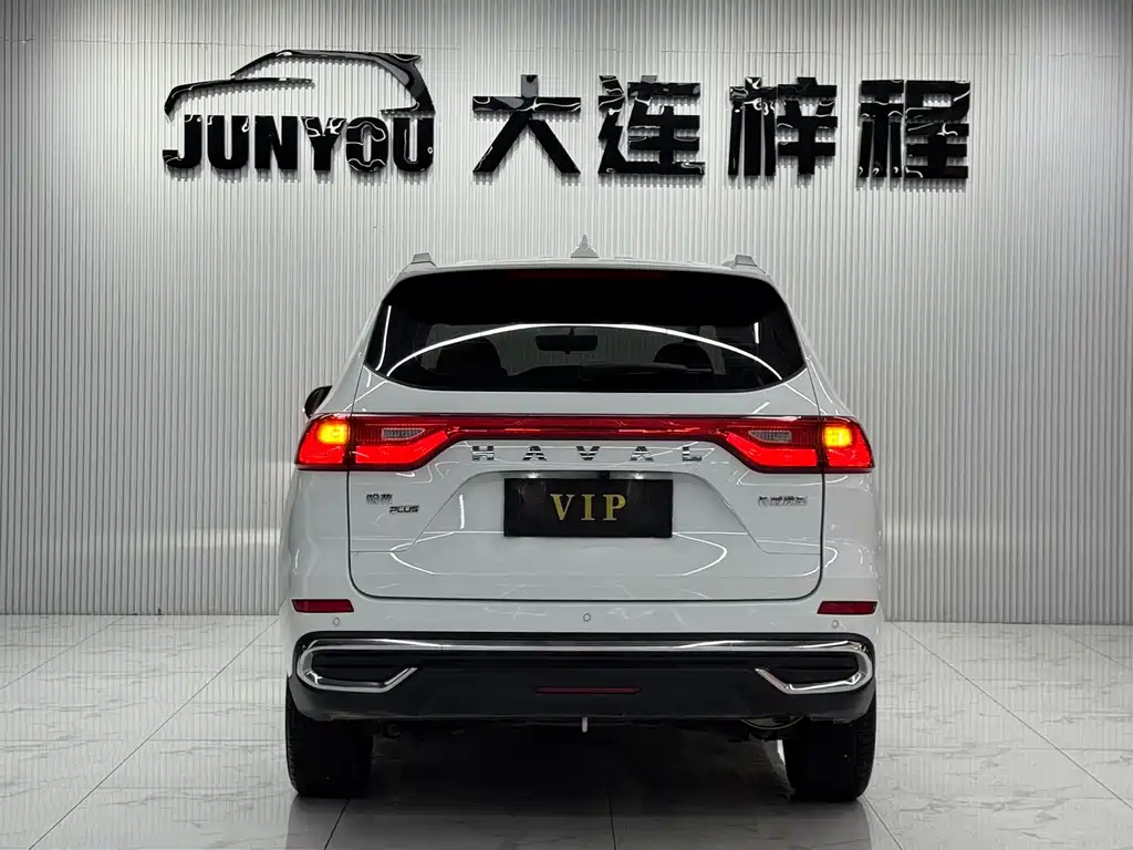 Haval M6 PLUS 1.5T DCT Luxury Connected Type, фото 5