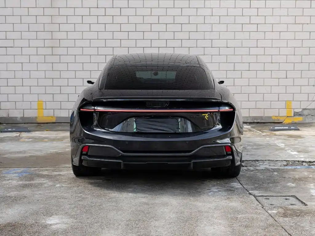 Lotus EMEYA — миниатюра 5
