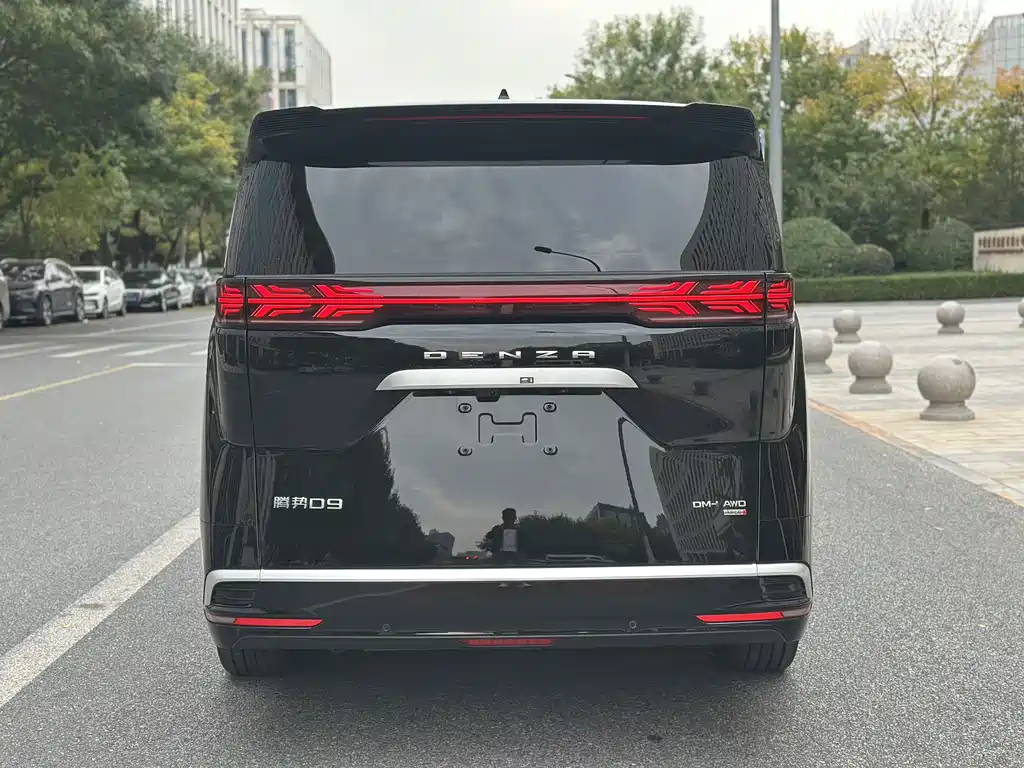 Denza Denza D9 — миниатюра 5