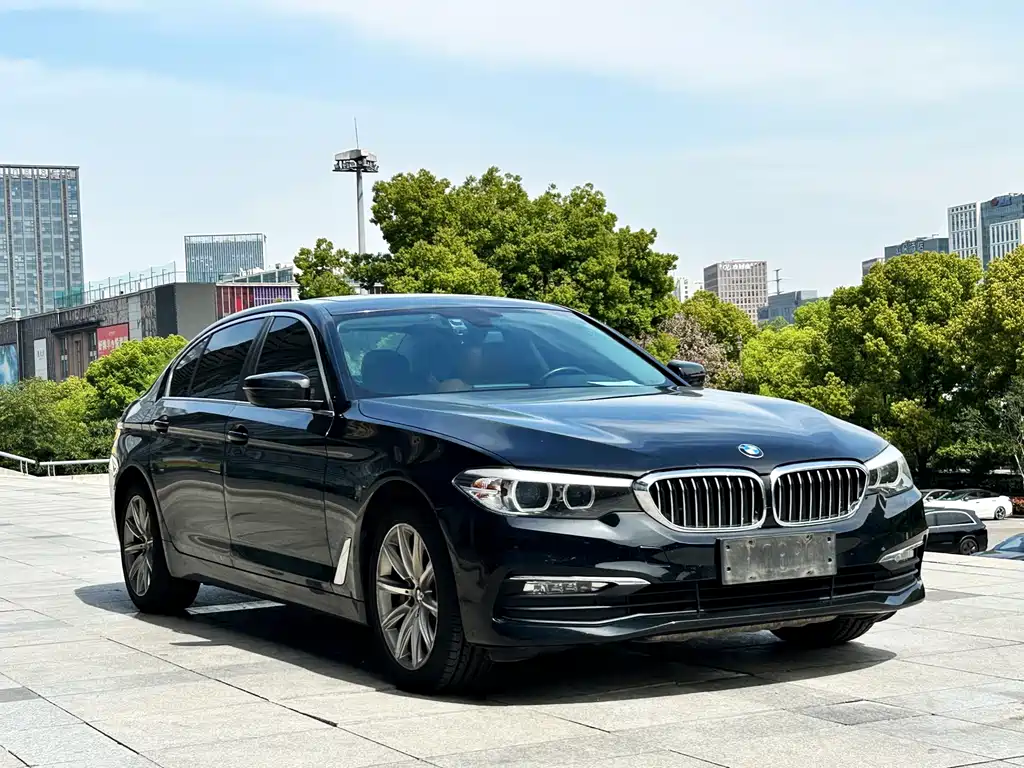 BMW 5 Series 5 2018 528Li