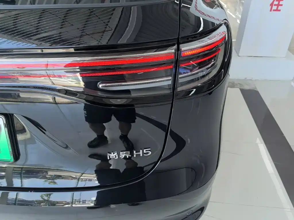 Shangjie Shangjie H5 — миниатюра 8