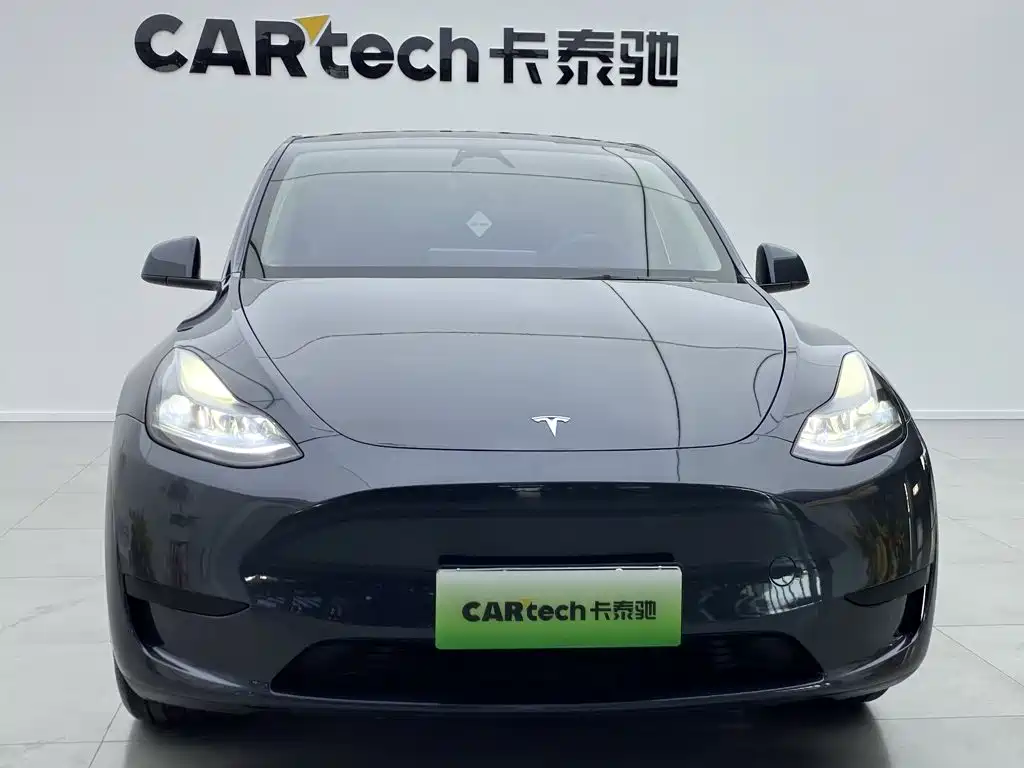 Tesla Model Y — миниатюра 5