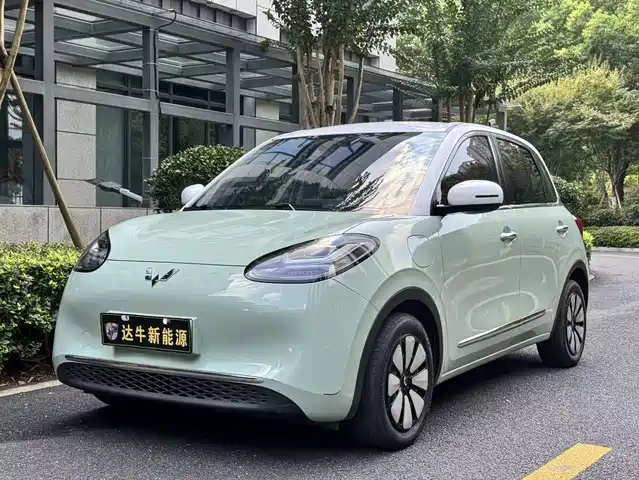 WULING AUTOMOBILE WULING BINGGUO 2023