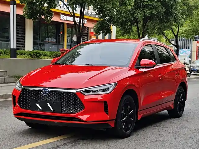 2020 BYD e2