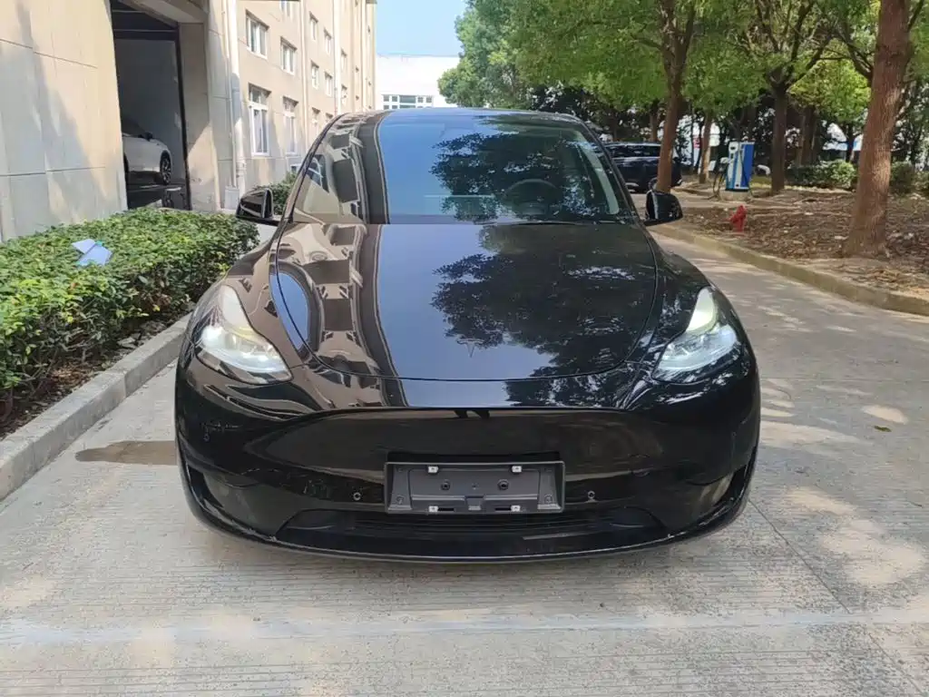Tesla Model Y — миниатюра 3