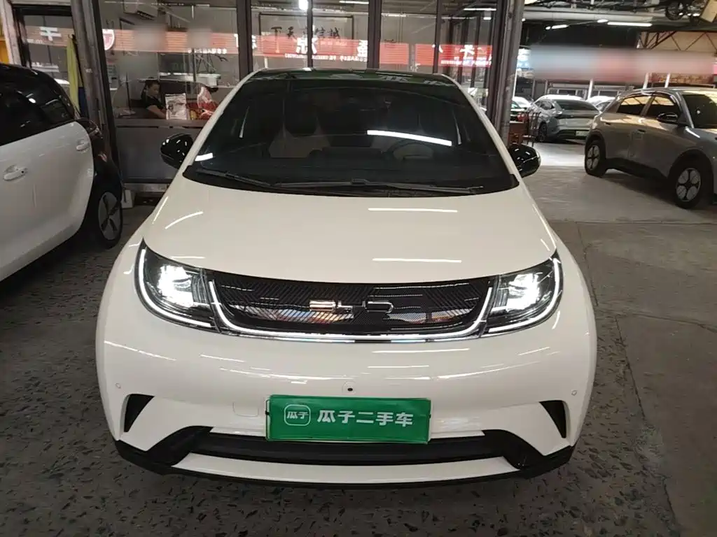 BYD Dolphin — миниатюра 3