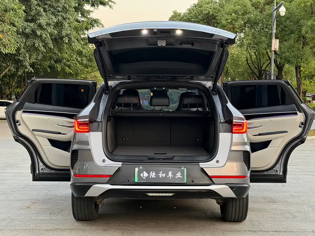 BYD PLUS New Energy — миниатюра 18