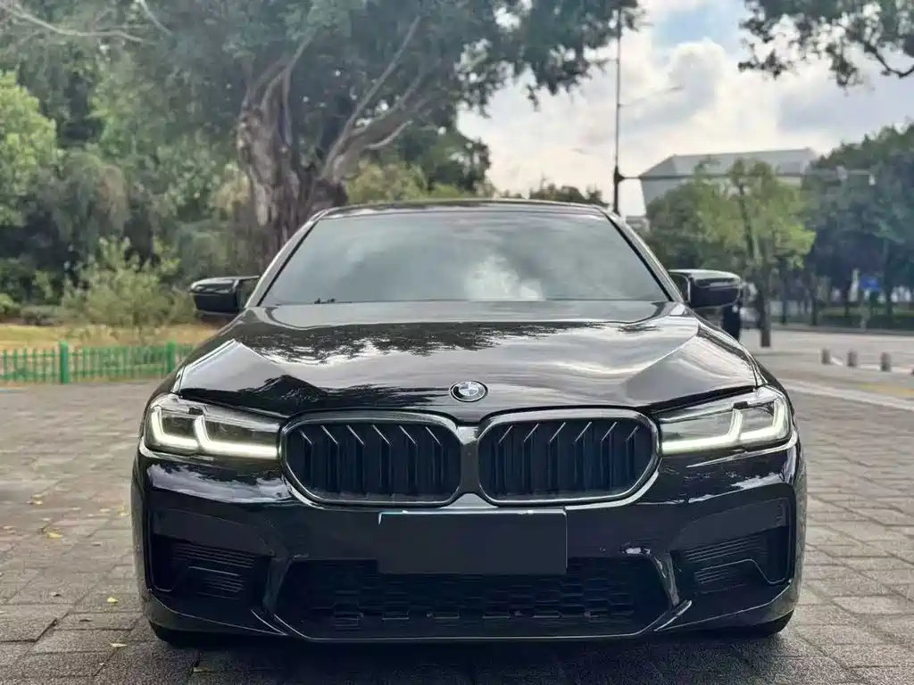 BMW 5 Series — миниатюра 2