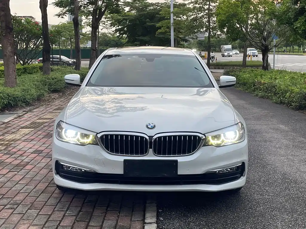 BMW 5 Series 5 2018 528Li
