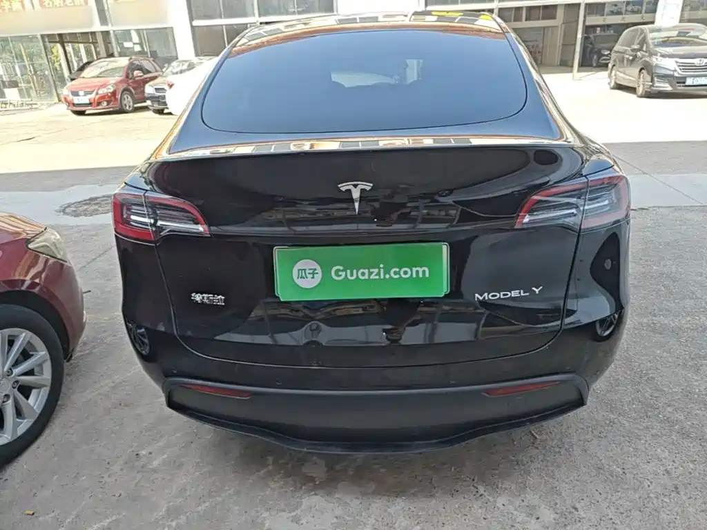 Tesla Model Y — миниатюра 6